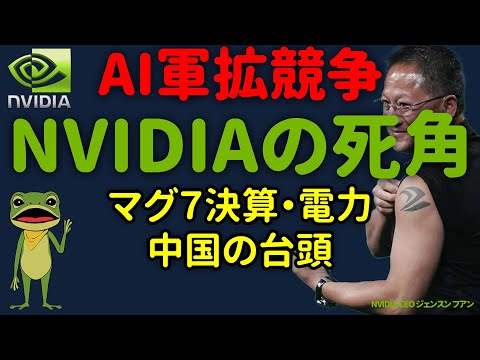 エヌビディア株、これから買うのが危険な理由。期待先行、生成AI（人口知能）の限界。NVIDIA依存の米国株（S&amp;P500）のリスク。猛追する中国の脅威。半導体プロセスの微細化、製造装置の国産化など。