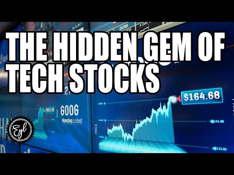 THE HIDDEN GEM OF TECH STOCKS