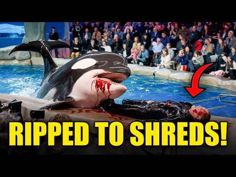 The DEADLIEST Orca Attacks Ever Recorded