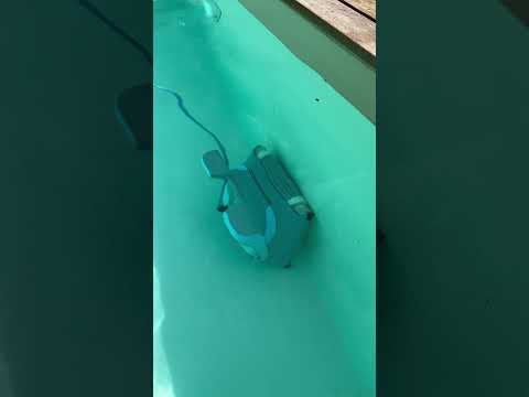 🤖 The Ingenious Pool Cleaning Robot: Revolutionizing Pool Maintenance 🇳🇱