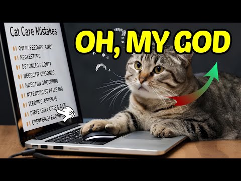 Are You Making These Cat Care Mistakes? (You Probably Are!) / Cat World Academy