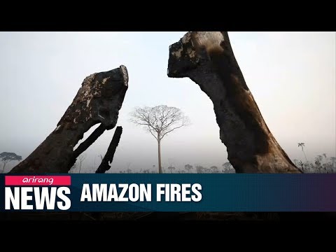 Massive wildfires in Amazon rainforest emerging as &quot;global crisis&quot;