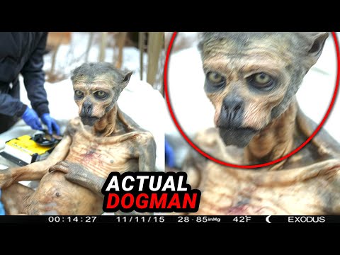 DISTURBING VIDEOS Found On The Internet That Will SHOCK You!