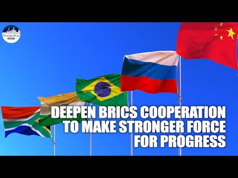 China, Brazil, Russia, India, and South Africa (BRICS) exchange views on deepening cooperation