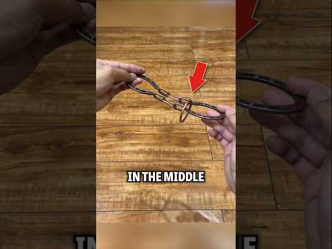 Can You Solve This Tricky Horseshoe Puzzle?