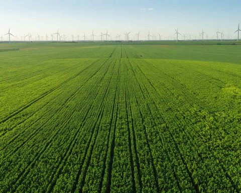 Tax Dollars in the Wind: The Battle Over Green Energy on Farmland Tax Dollars in the Wind: The Battle Over Green Energy on Farmland