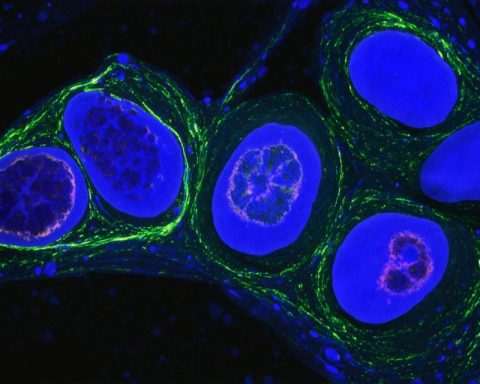 Revolutionary Cancer Treatment Makes Waves with Promising Early Data