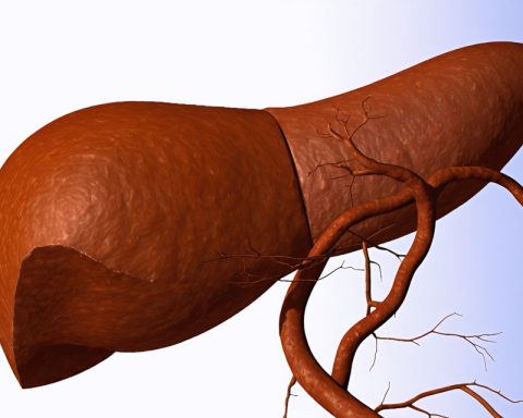 Unlocking the Liver’s Secret: How Glutamate Could Revolutionize Liver Healing Unlocking the Liver’s Secret: How Glutamate Could Revolutionize Liver Healing